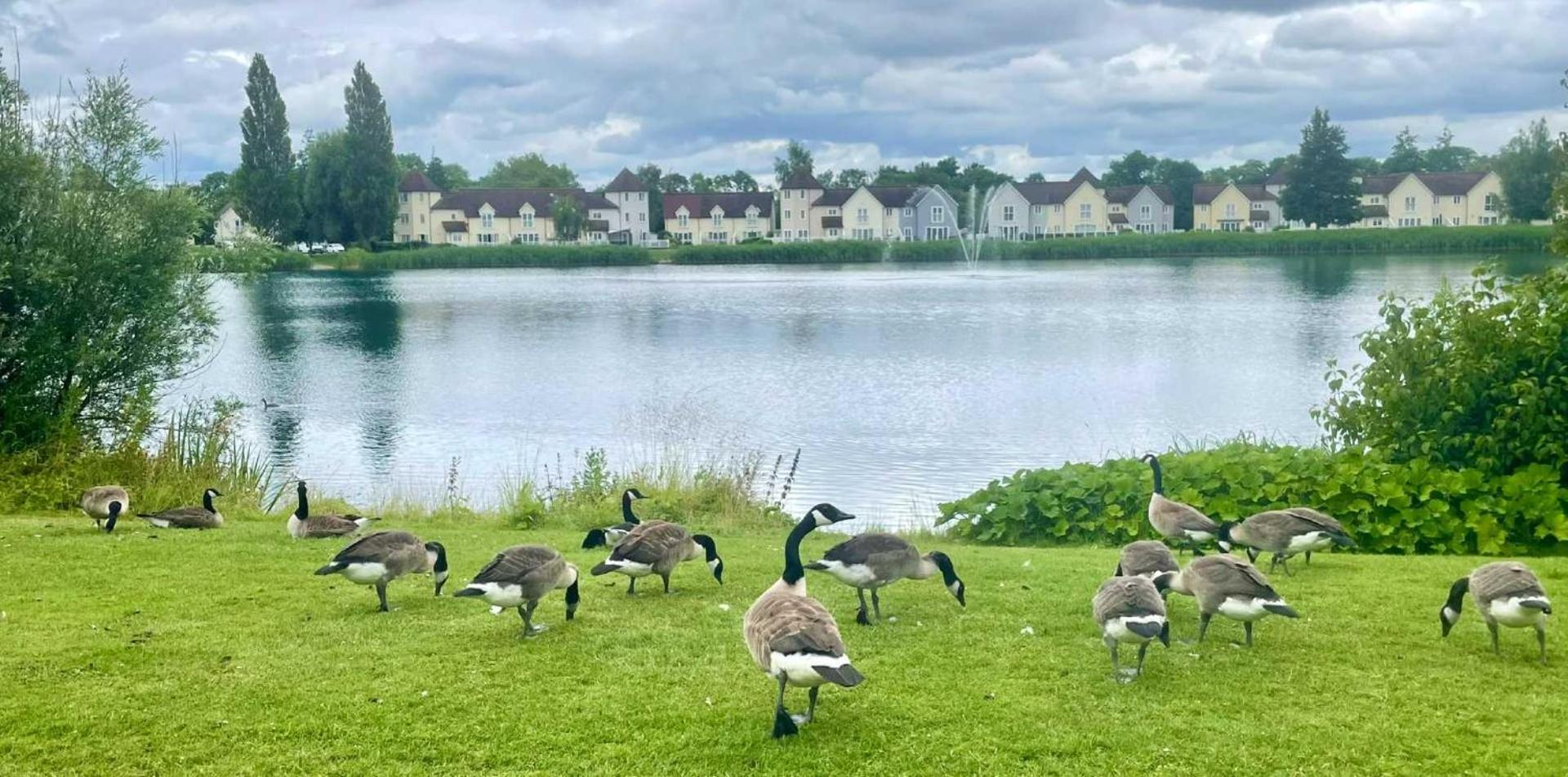 Nyhavn Lakeside Cottage Cirencester Bagian luar foto